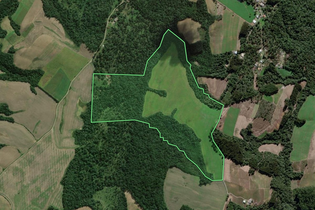 Imagem de satélite do imóvel rural em São João do Triunfo (PR), com o contorno declarado no CAR desenhado por cima.