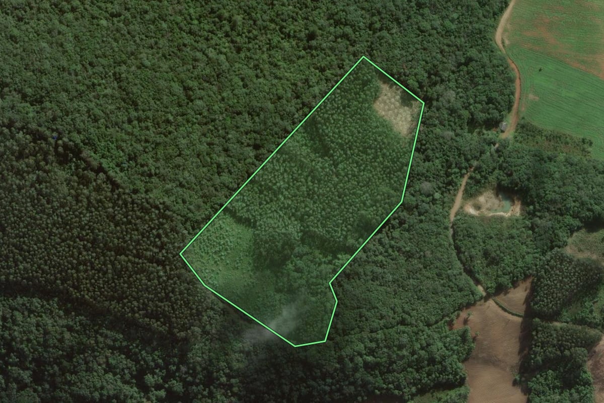 Imagem de satélite do imóvel rural em São João do Triunfo (PR), com o contorno declarado no CAR desenhado por cima.