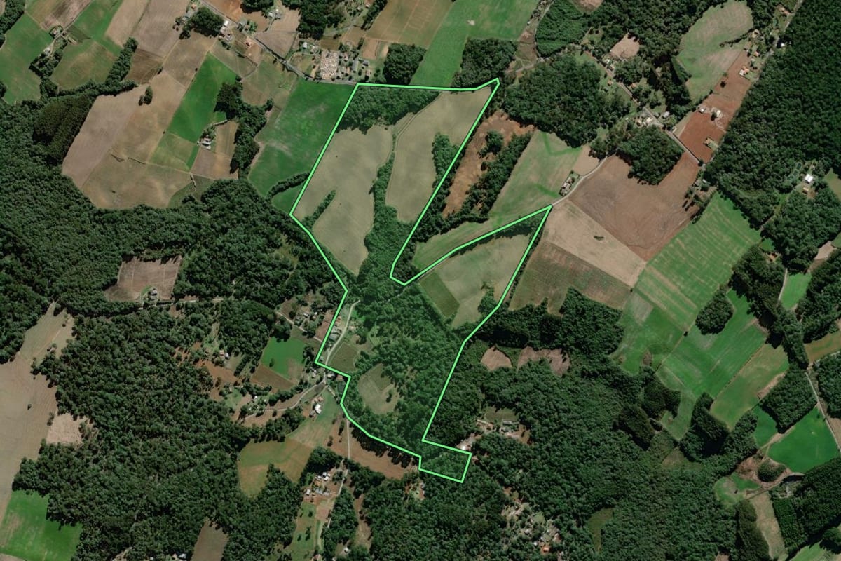Imagem de satélite do imóvel rural em São João do Triunfo (PR), com o contorno declarado no CAR desenhado por cima.