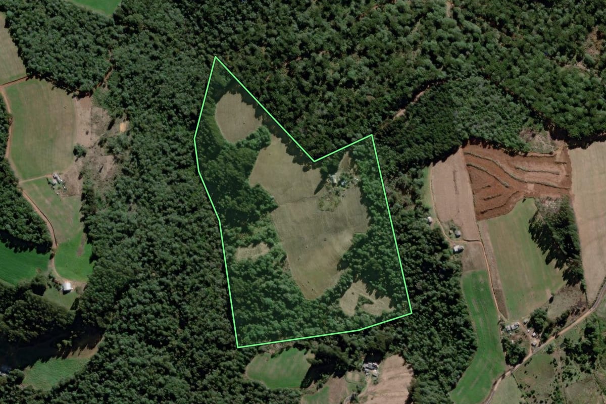 Imagem de satélite do imóvel rural em São João do Triunfo (PR), com o contorno declarado no CAR desenhado por cima.
