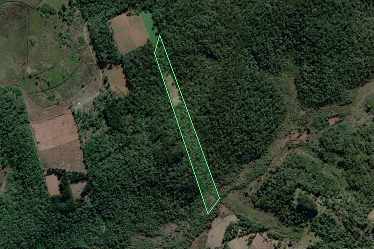 Imagem de satélite do imóvel rural em São João do Triunfo (PR), com o contorno declarado no CAR desenhado por cima.