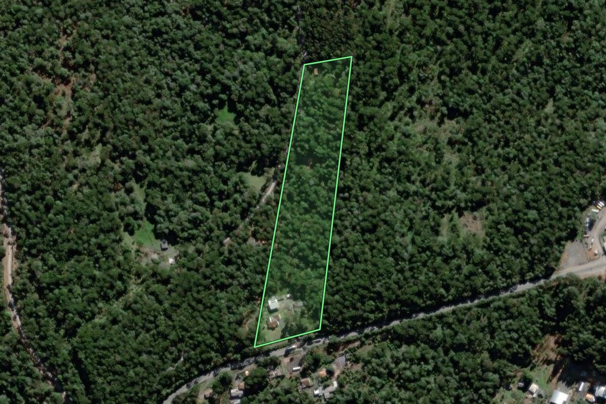 Imagem de satélite do imóvel rural em São João do Triunfo (PR), com o contorno declarado no CAR desenhado por cima.