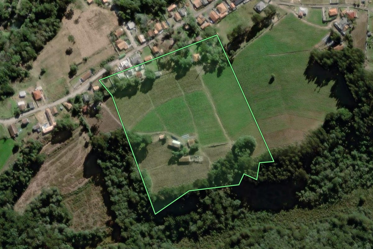 Imagem de satélite do imóvel rural em São João do Triunfo (PR), com o contorno declarado no CAR desenhado por cima.