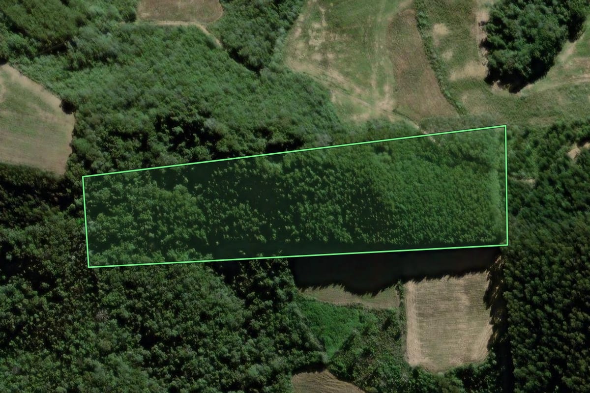 Imagem de satélite do imóvel rural em São João do Triunfo (PR), com o contorno declarado no CAR desenhado por cima.
