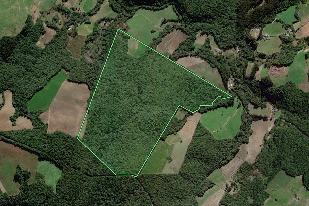 Imagem de satélite do imóvel rural em São João do Triunfo (PR), com o contorno declarado no CAR desenhado por cima.