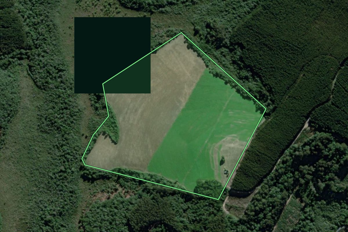 Imagem de satélite do imóvel rural em São João do Triunfo (PR), com o contorno declarado no CAR desenhado por cima.