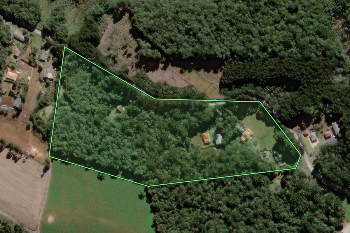 Imagem de satélite do imóvel rural em São João do Triunfo (PR), com o contorno declarado no CAR desenhado por cima.