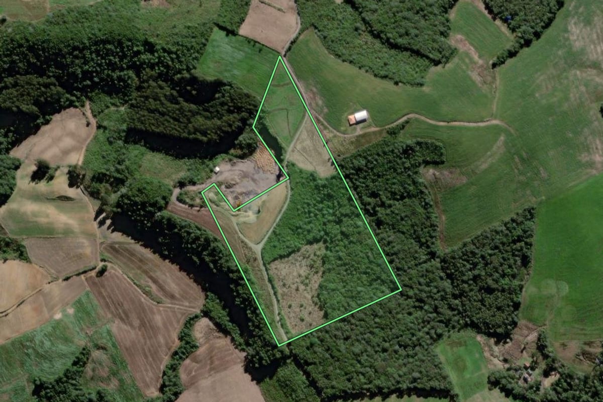 Imagem de satélite do imóvel rural em São João do Triunfo (PR), com o contorno declarado no CAR desenhado por cima.
