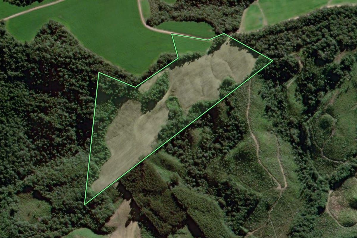 Imagem de satélite do imóvel rural em São João do Triunfo (PR), com o contorno declarado no CAR desenhado por cima.