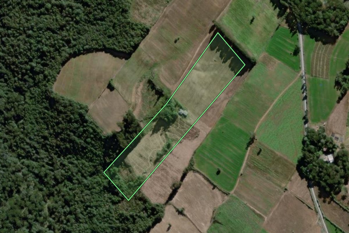 Imagem de satélite do imóvel rural em São João do Triunfo (PR), com o contorno declarado no CAR desenhado por cima.