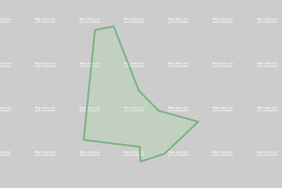 Imagem de satélite do imóvel rural em São João do Triunfo (PR), com o contorno declarado no CAR desenhado por cima.