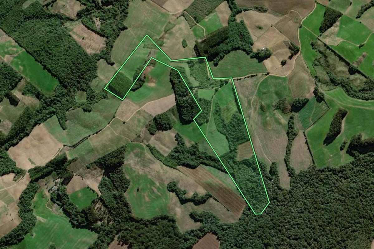 Imagem de satélite do imóvel rural em São João do Triunfo (PR), com o contorno declarado no CAR desenhado por cima.