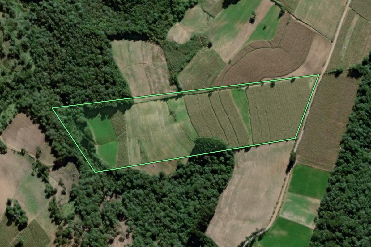 Imagem de satélite do imóvel rural em São João do Triunfo (PR), com o contorno declarado no CAR desenhado por cima.
