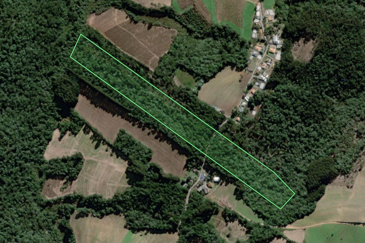 Imagem de satélite do imóvel rural em São João do Triunfo (PR), com o contorno declarado no CAR desenhado por cima.
