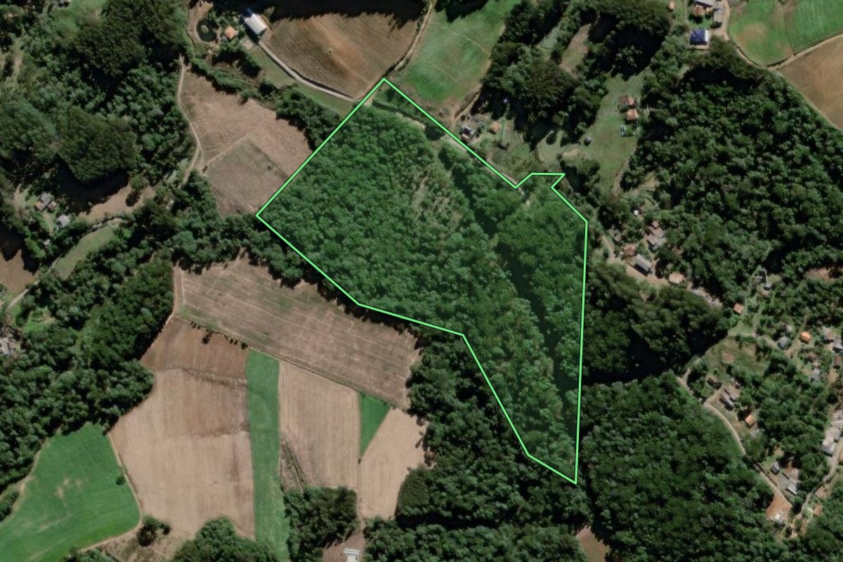 Imagem de satélite do imóvel rural em São João do Triunfo (PR), com o contorno declarado no CAR desenhado por cima.