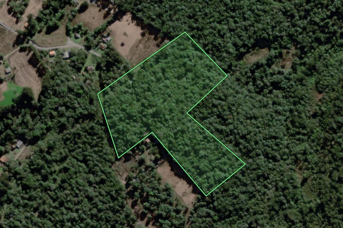 Imagem de satélite do imóvel rural em São João do Triunfo (PR), com o contorno declarado no CAR desenhado por cima.