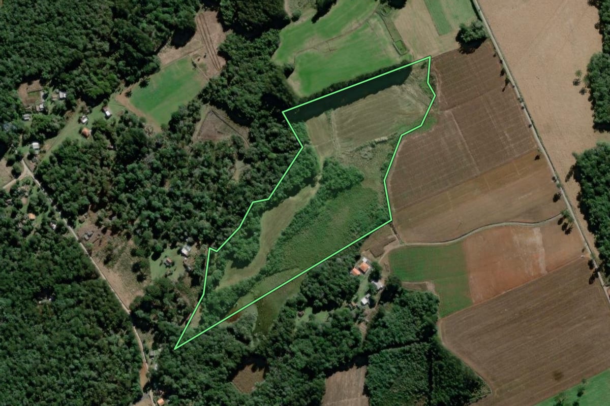 Imagem de satélite do imóvel rural em São João do Triunfo (PR), com o contorno declarado no CAR desenhado por cima.