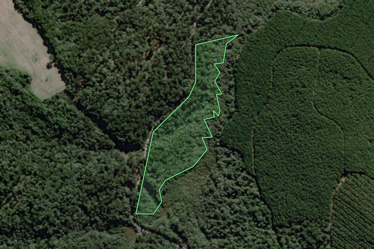 Imagem de satélite do imóvel rural em São João do Triunfo (PR), com o contorno declarado no CAR desenhado por cima.