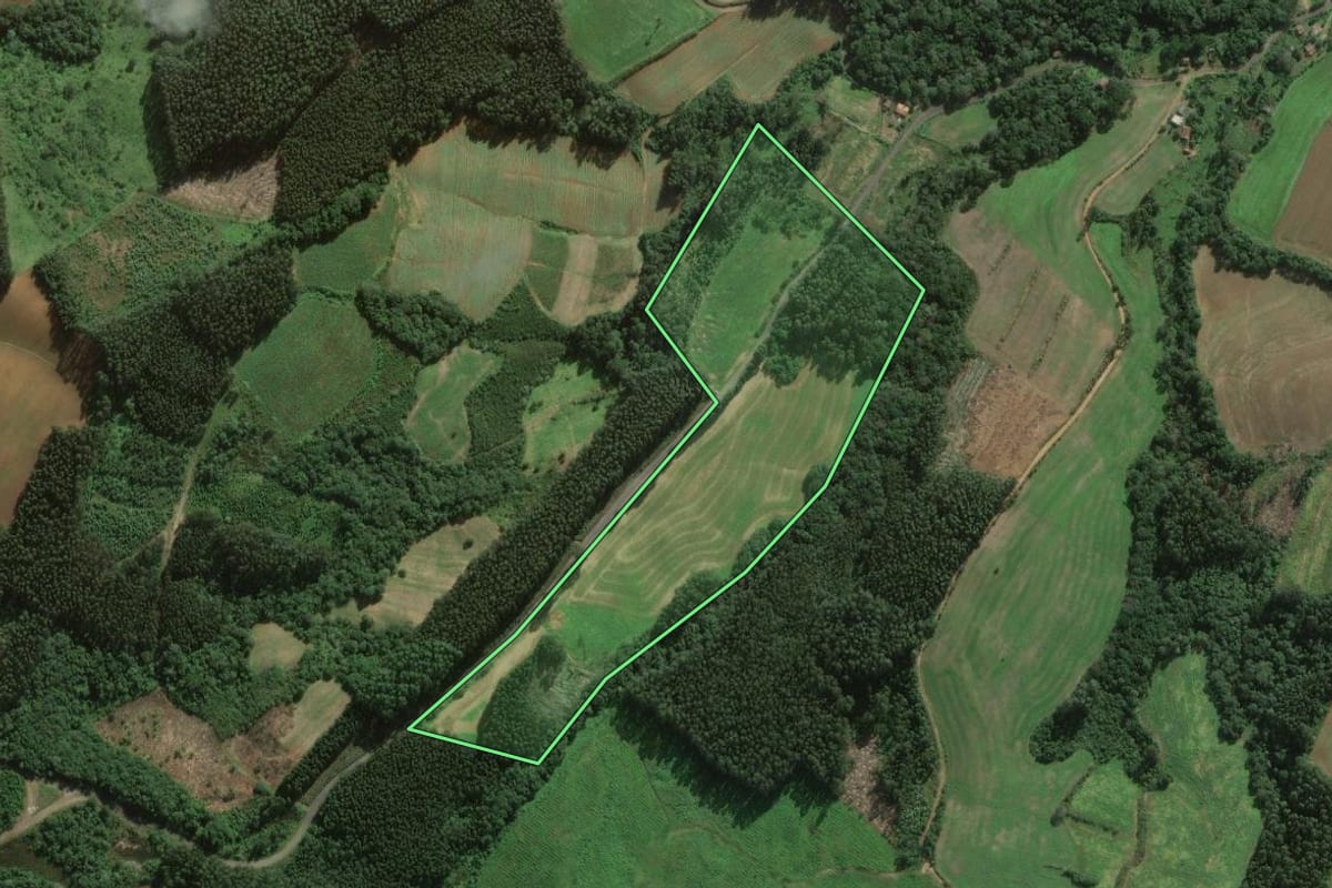 Imagem de satélite do imóvel rural em São João do Triunfo (PR), com o contorno declarado no CAR desenhado por cima.