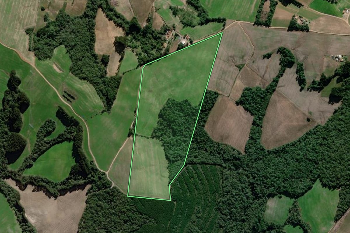 Imagem de satélite do imóvel rural em São João do Triunfo (PR), com o contorno declarado no CAR desenhado por cima.