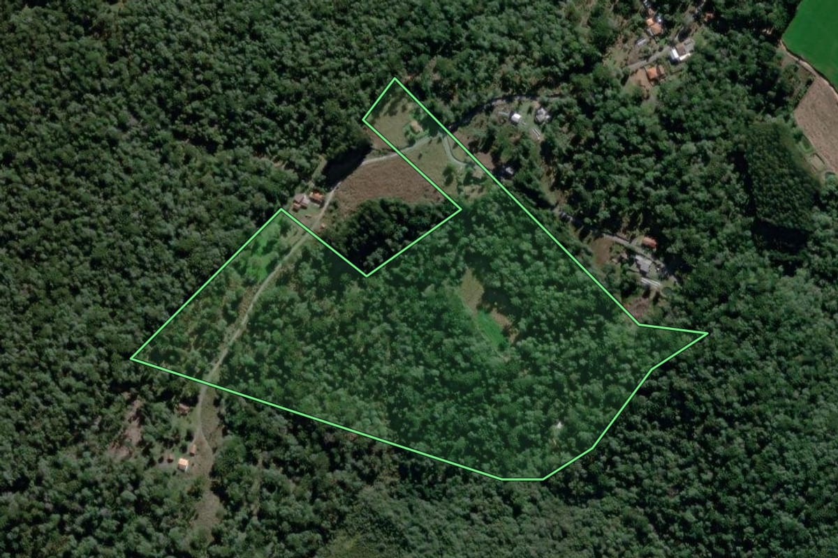 Imagem de satélite do imóvel rural em São João do Triunfo (PR), com o contorno declarado no CAR desenhado por cima.