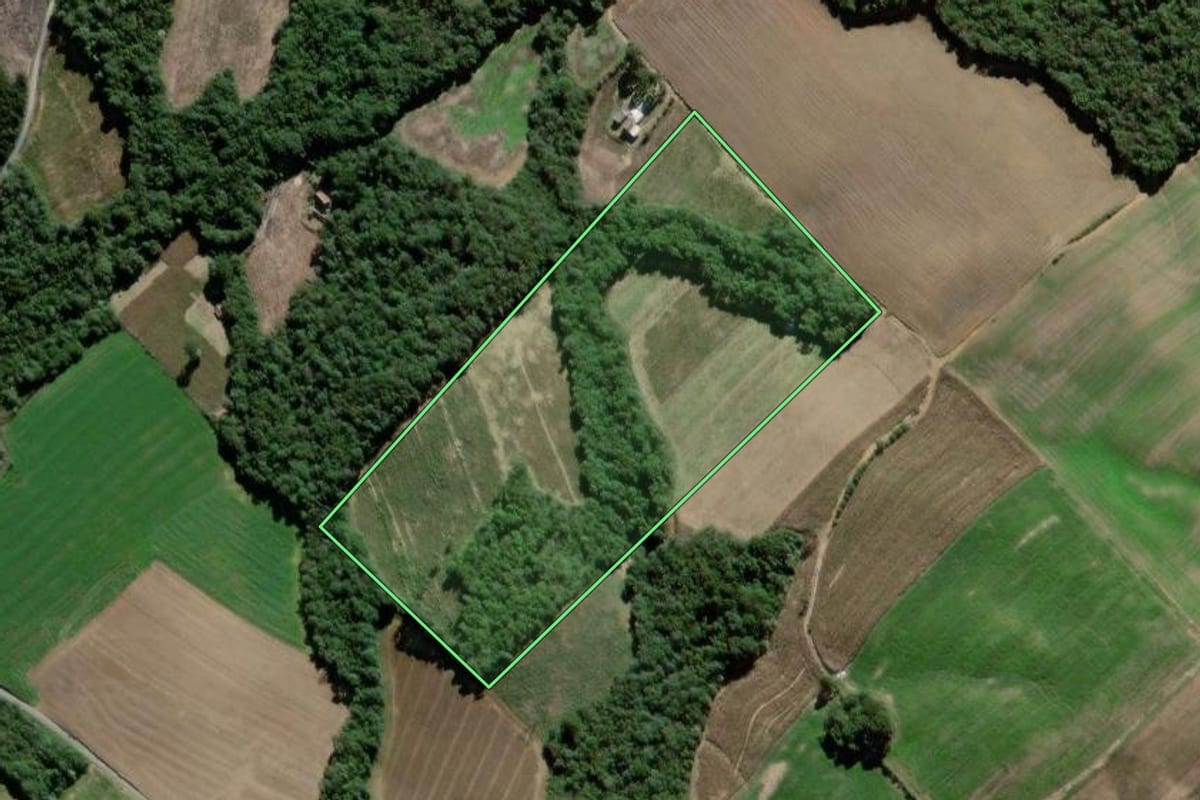 Imagem de satélite do imóvel rural em São João do Triunfo (PR), com o contorno declarado no CAR desenhado por cima.