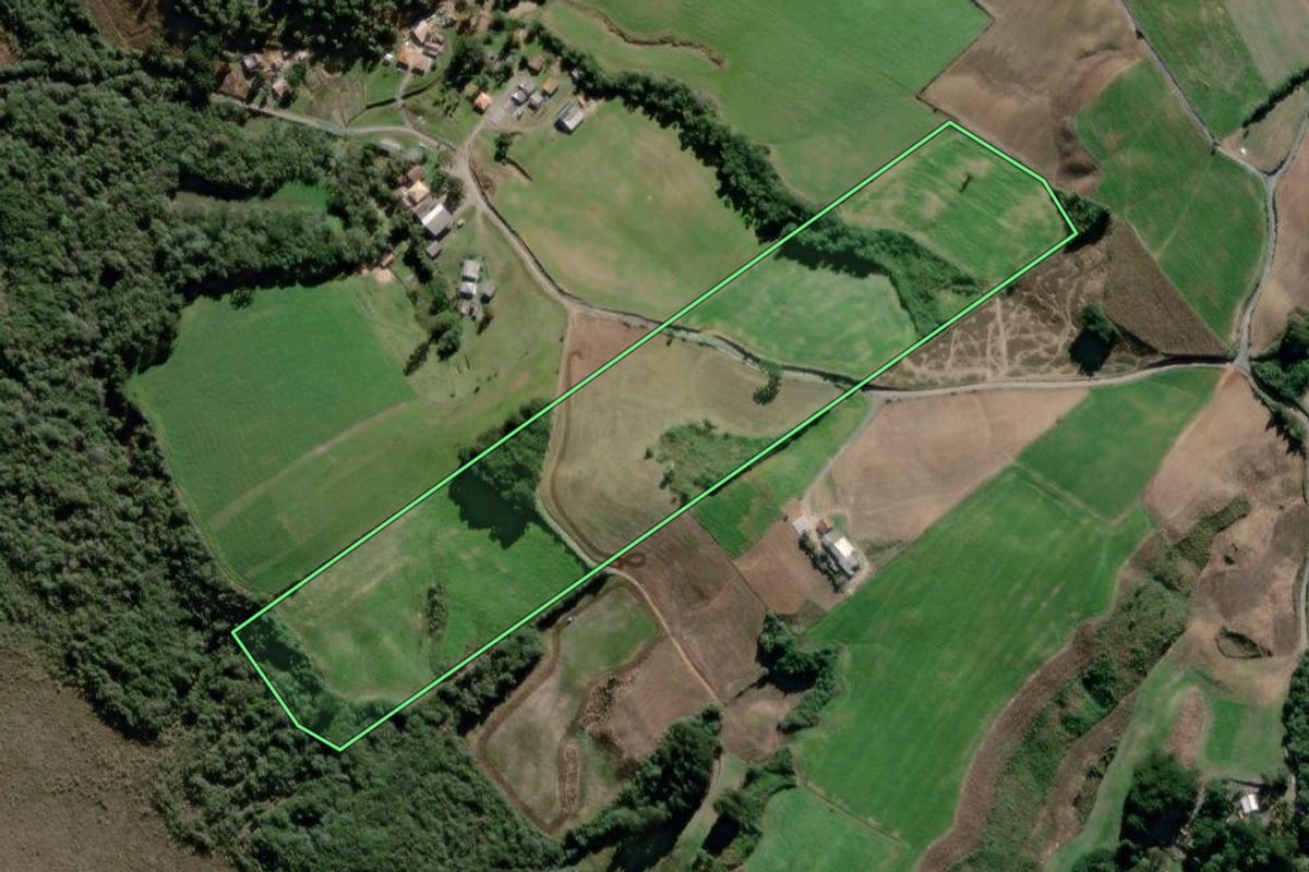 Imagem de satélite do imóvel rural em São João do Triunfo (PR), com o contorno declarado no CAR desenhado por cima.