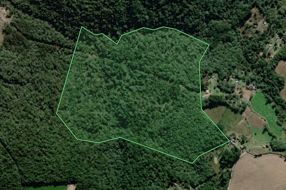 Imagem de satélite do imóvel rural em São João do Triunfo (PR), com o contorno declarado no CAR desenhado por cima.