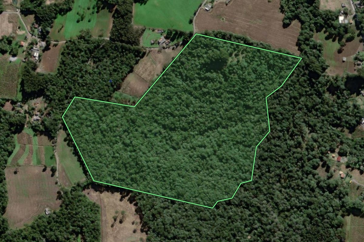 Imagem de satélite do imóvel rural em São João do Triunfo (PR), com o contorno declarado no CAR desenhado por cima.