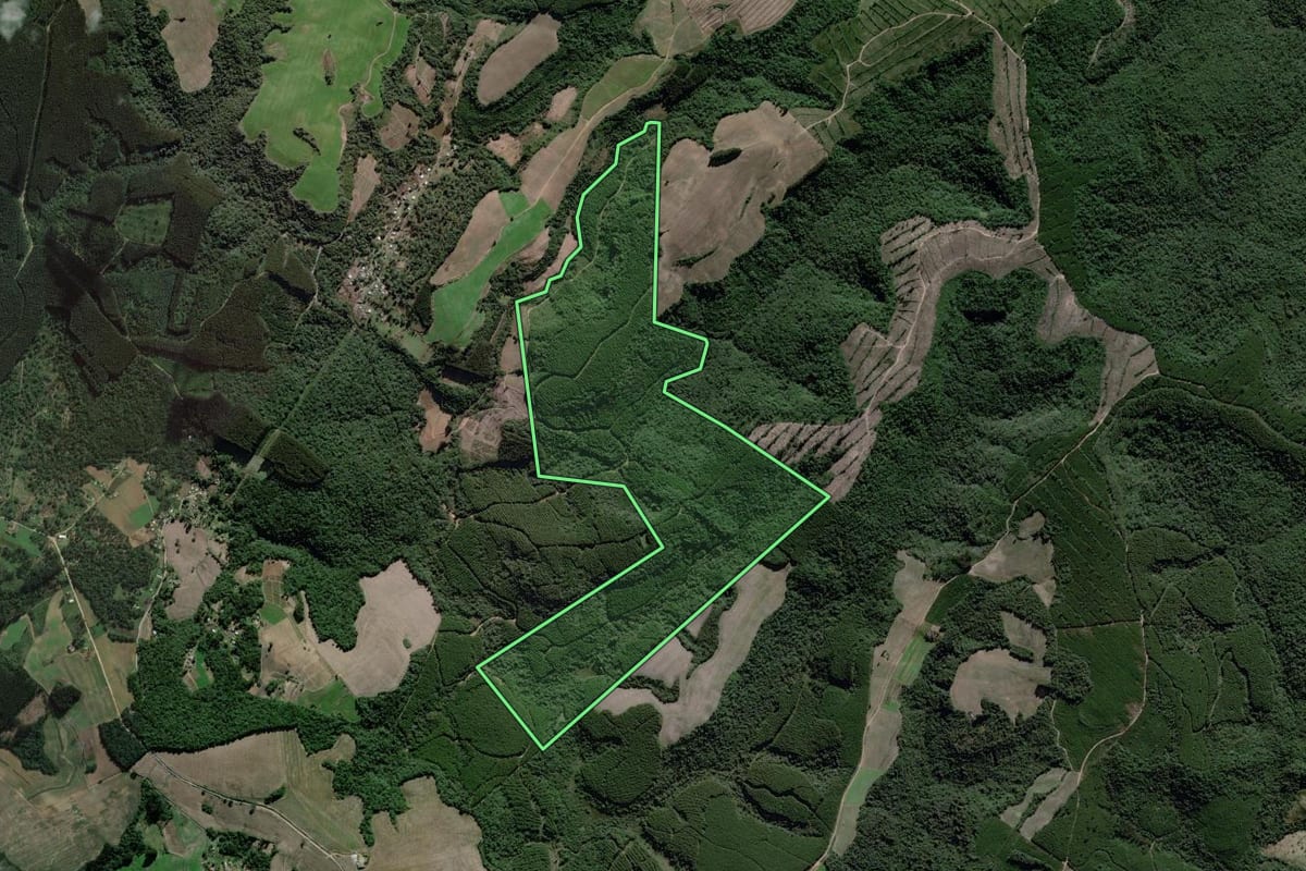 Imagem de satélite do imóvel rural em São João do Triunfo (PR), com o contorno declarado no CAR desenhado por cima.