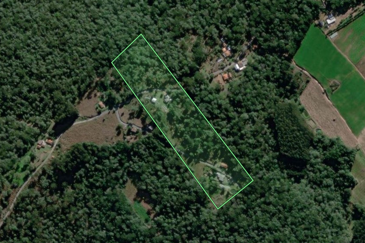 Imagem de satélite do imóvel rural em São João do Triunfo (PR), com o contorno declarado no CAR desenhado por cima.