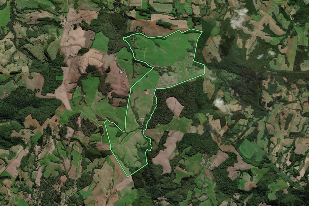 Imagem de satélite do imóvel rural em São João do Triunfo (PR), com o contorno declarado no CAR desenhado por cima.