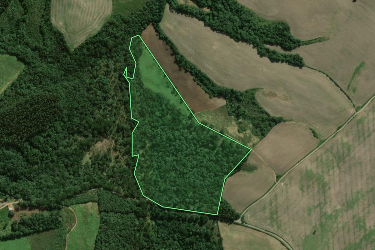 Imagem de satélite do imóvel rural em São João do Triunfo (PR), com o contorno declarado no CAR desenhado por cima.