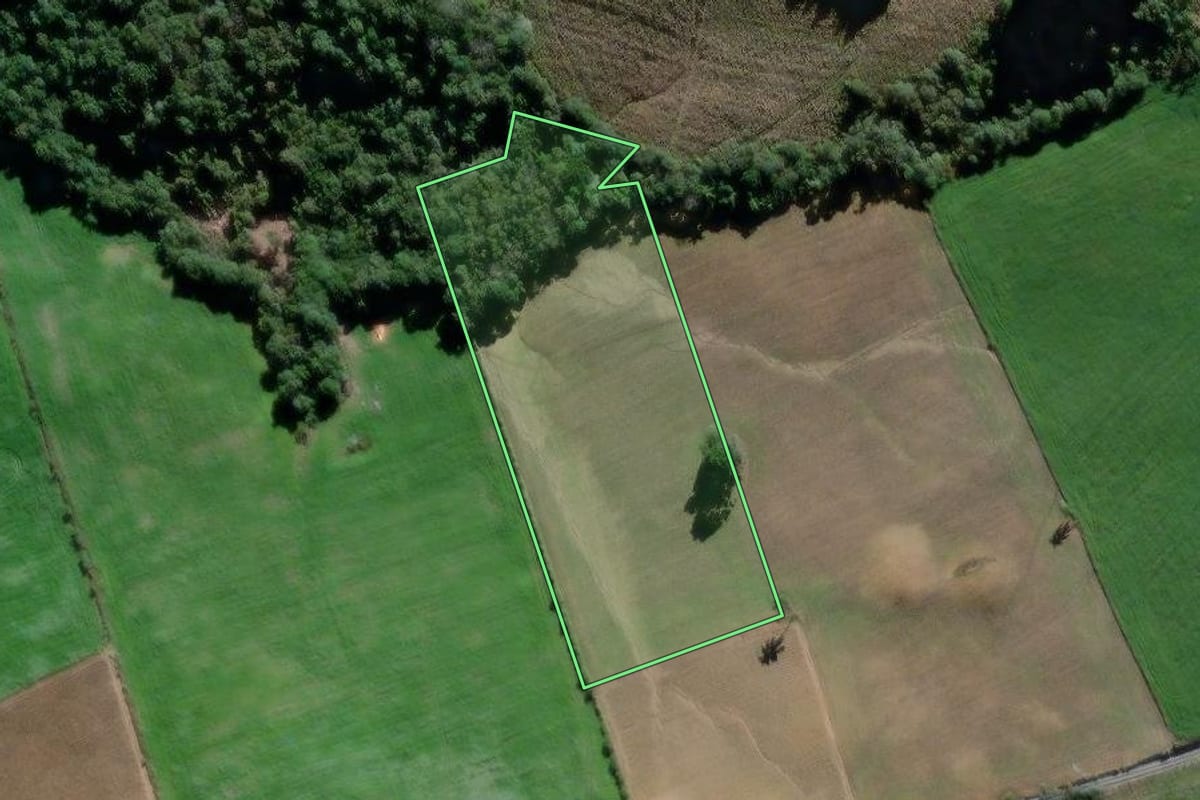 Imagem de satélite do imóvel rural em São João do Triunfo (PR), com o contorno declarado no CAR desenhado por cima.