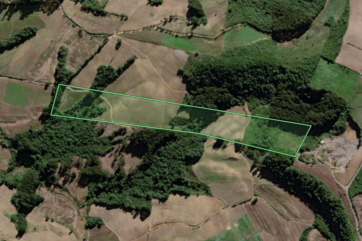 Imagem de satélite do imóvel rural em São João do Triunfo (PR), com o contorno declarado no CAR desenhado por cima.
