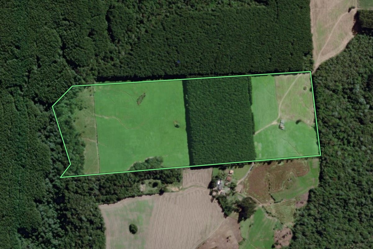 Imagem de satélite do imóvel rural em São João do Triunfo (PR), com o contorno declarado no CAR desenhado por cima.