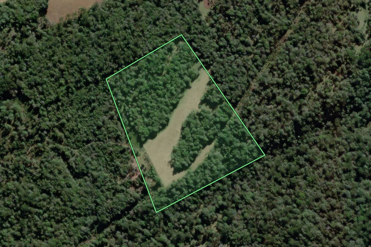 Imagem de satélite do imóvel rural em São João do Triunfo (PR), com o contorno declarado no CAR desenhado por cima.