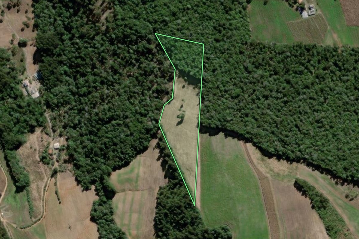 Imagem de satélite do imóvel rural em São João do Triunfo (PR), com o contorno declarado no CAR desenhado por cima.