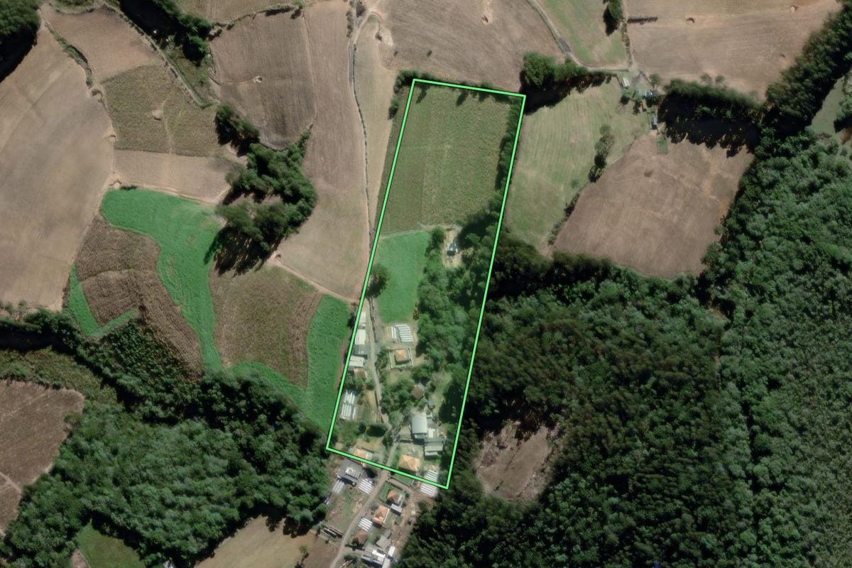 Imagem de satélite do imóvel rural em São João do Triunfo (PR), com o contorno declarado no CAR desenhado por cima.