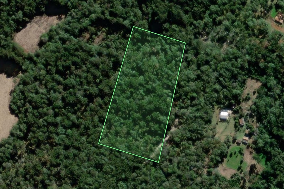 Imagem de satélite do imóvel rural em São João do Triunfo (PR), com o contorno declarado no CAR desenhado por cima.