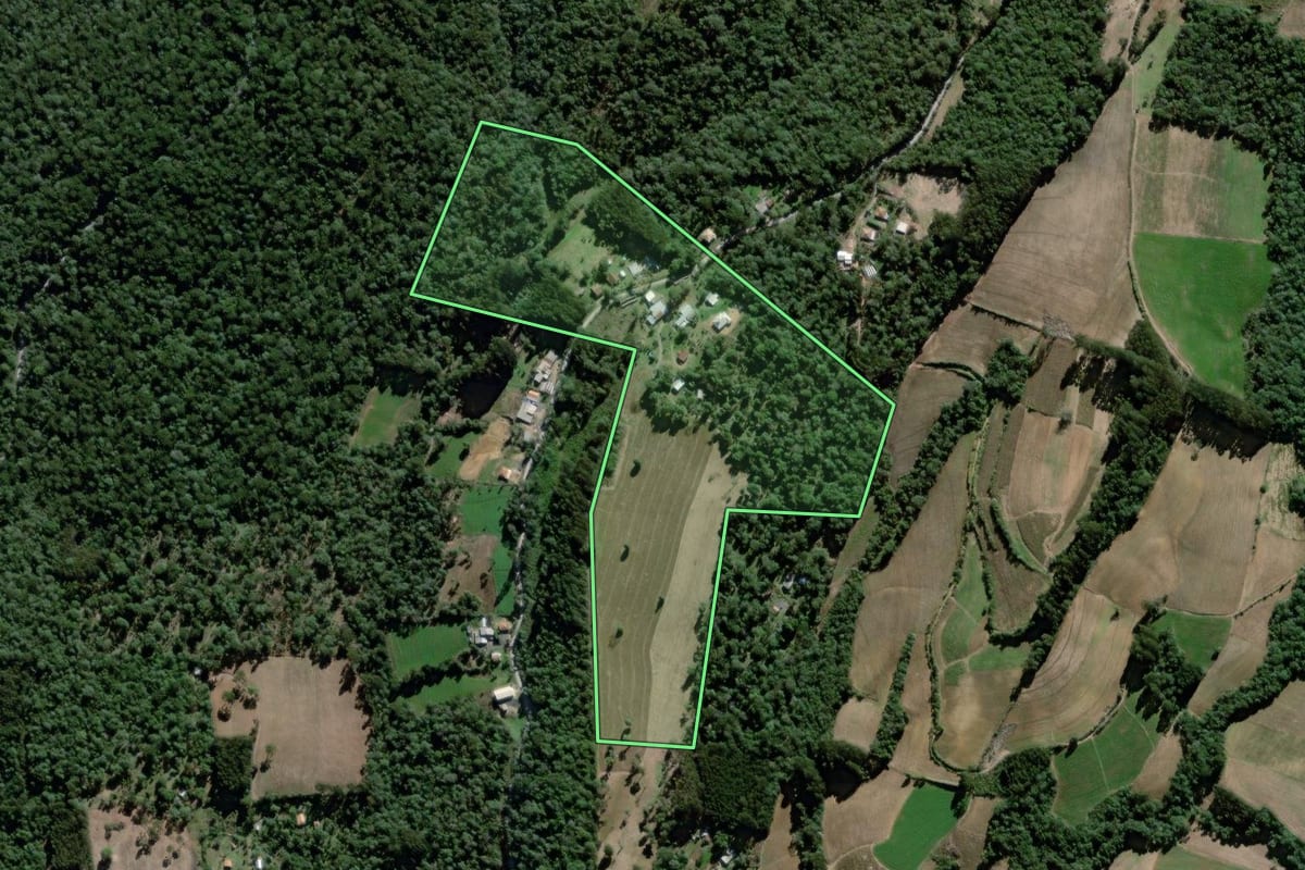 Imagem de satélite do imóvel rural em São João do Triunfo (PR), com o contorno declarado no CAR desenhado por cima.