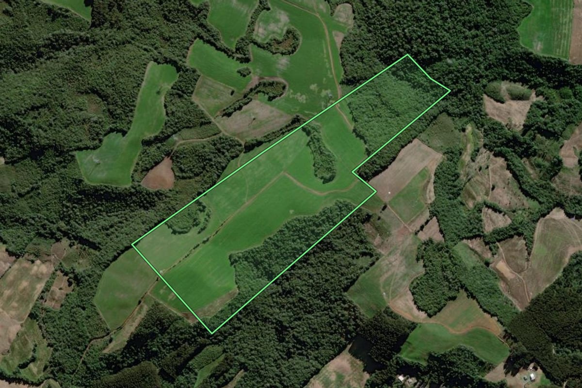 Imagem de satélite do imóvel rural em São João do Triunfo (PR), com o contorno declarado no CAR desenhado por cima.