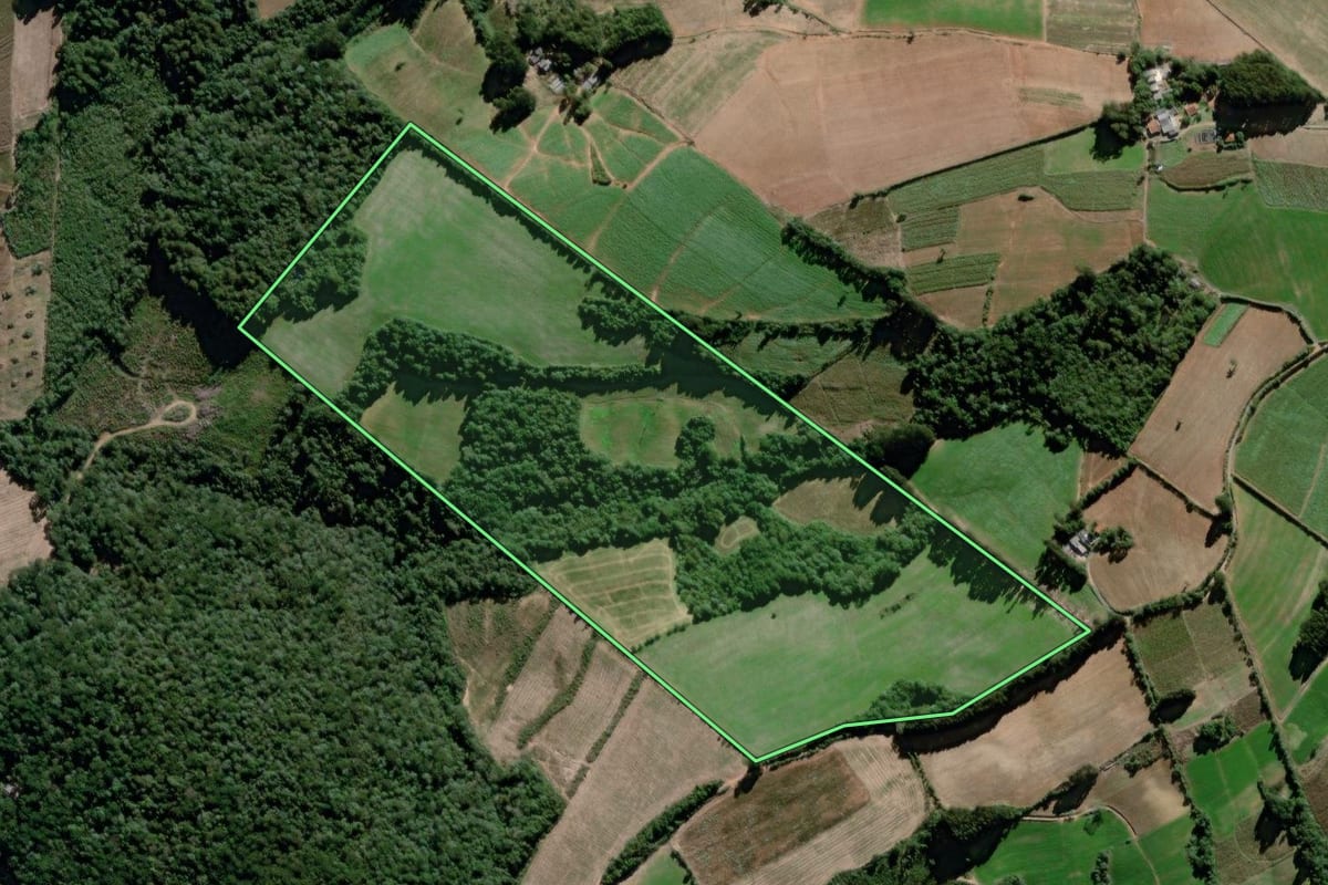 Imagem de satélite do imóvel rural em São João do Triunfo (PR), com o contorno declarado no CAR desenhado por cima.