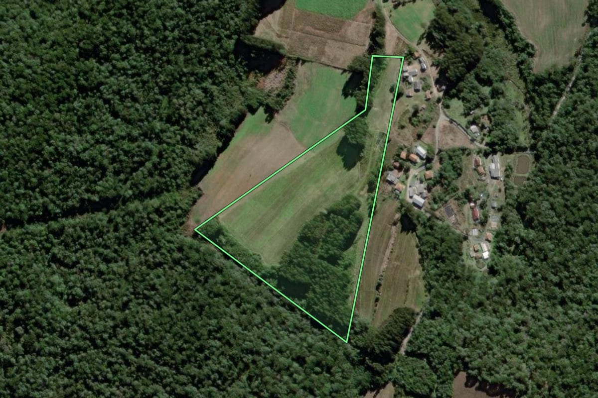 Imagem de satélite do imóvel rural em São João do Triunfo (PR), com o contorno declarado no CAR desenhado por cima.