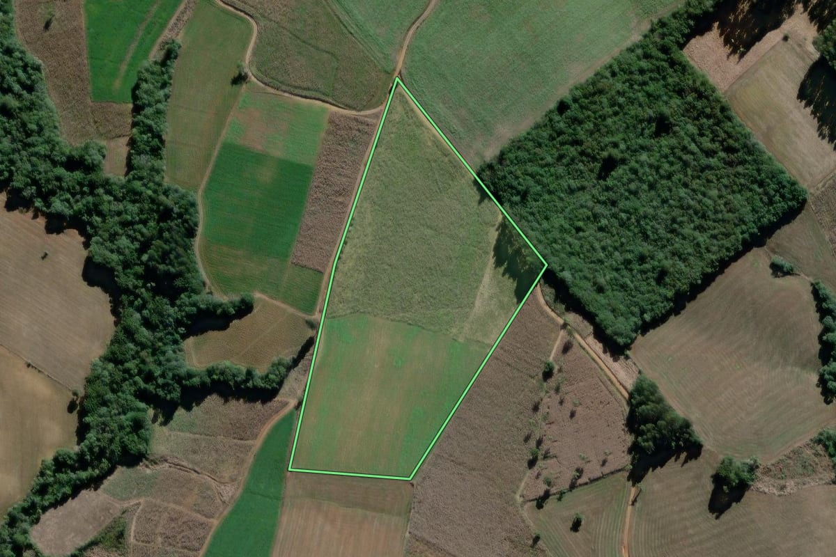 Imagem de satélite do imóvel rural em São João do Triunfo (PR), com o contorno declarado no CAR desenhado por cima.