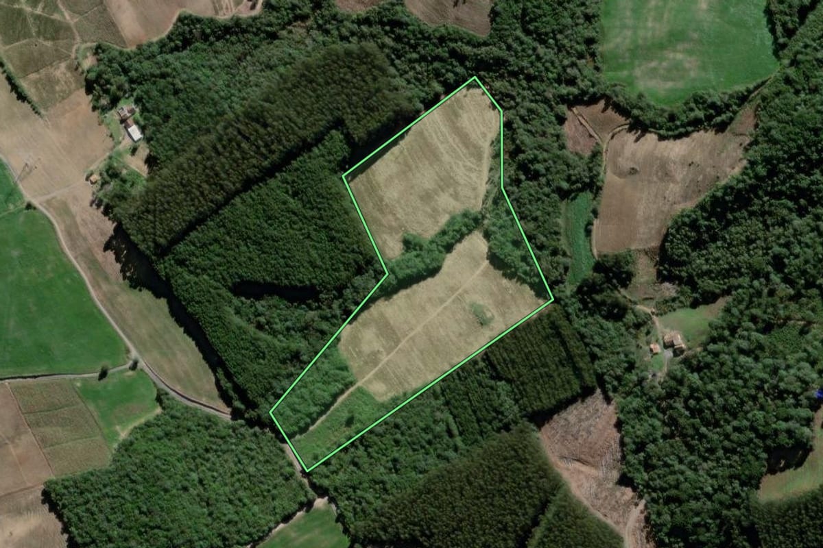 Imagem de satélite do imóvel rural em São João do Triunfo (PR), com o contorno declarado no CAR desenhado por cima.
