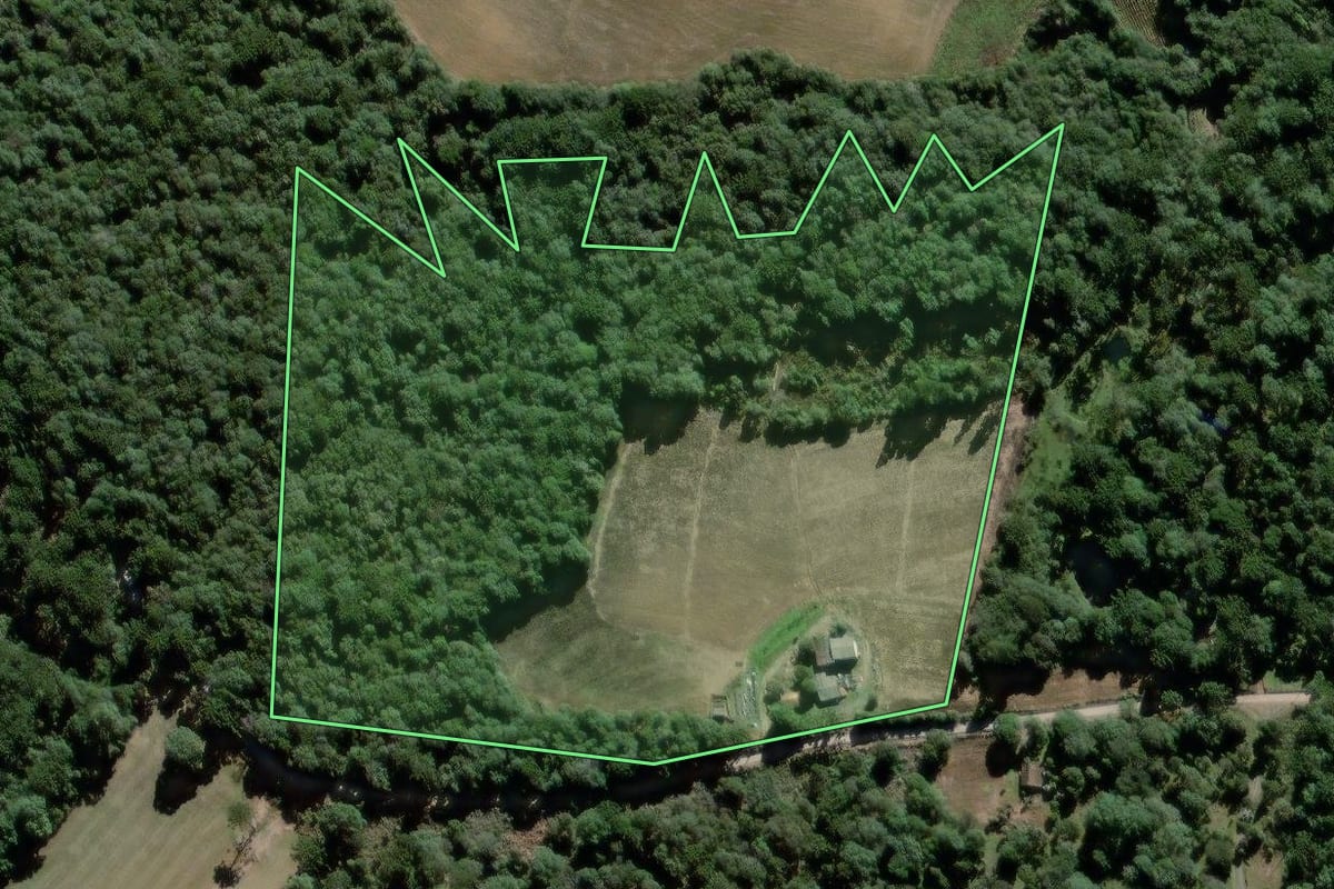 Imagem de satélite do imóvel rural em São João do Triunfo (PR), com o contorno declarado no CAR desenhado por cima.