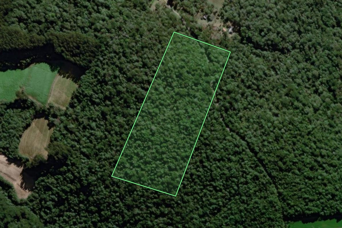 Imagem de satélite do imóvel rural em São João do Triunfo (PR), com o contorno declarado no CAR desenhado por cima.