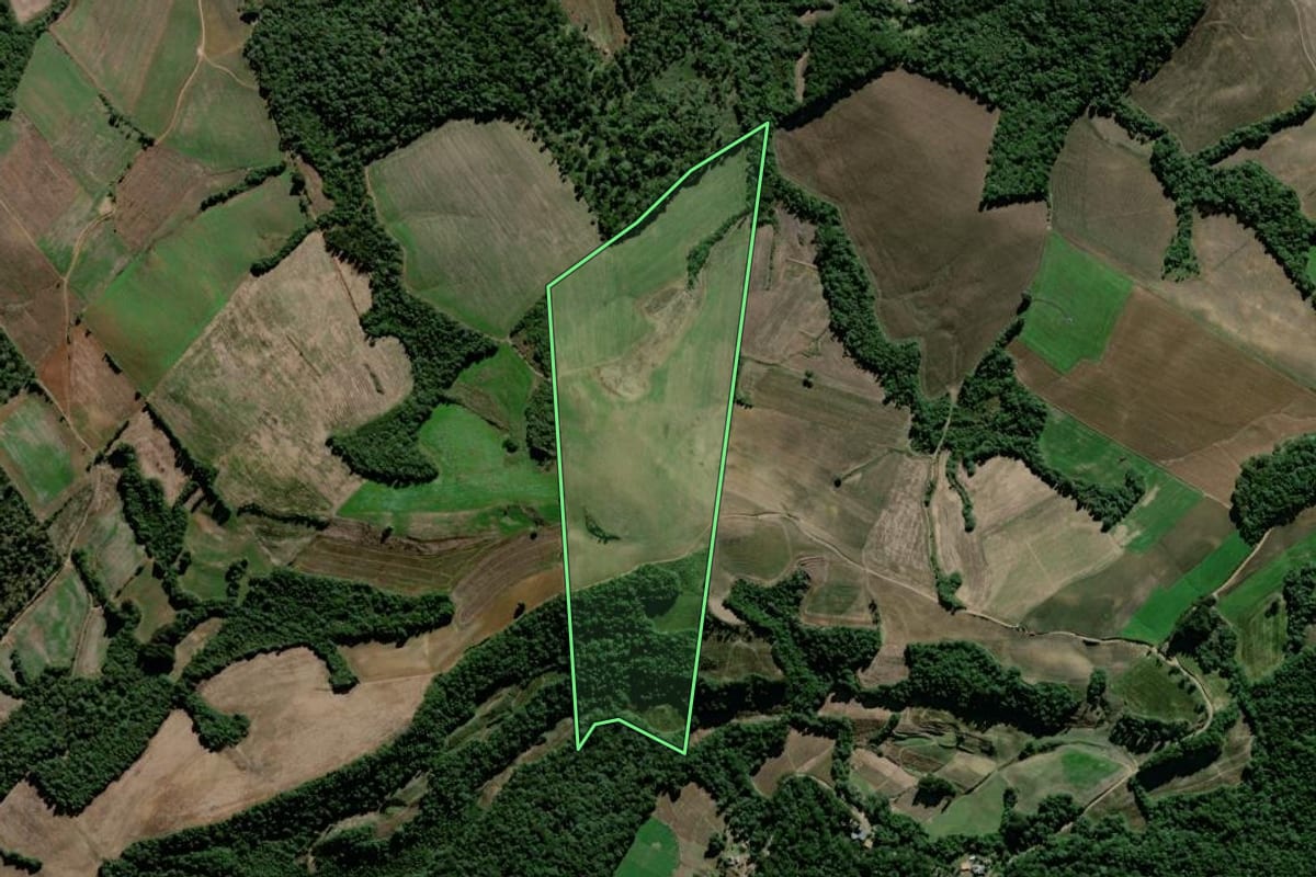 Imagem de satélite do imóvel rural em São João do Triunfo (PR), com o contorno declarado no CAR desenhado por cima.
