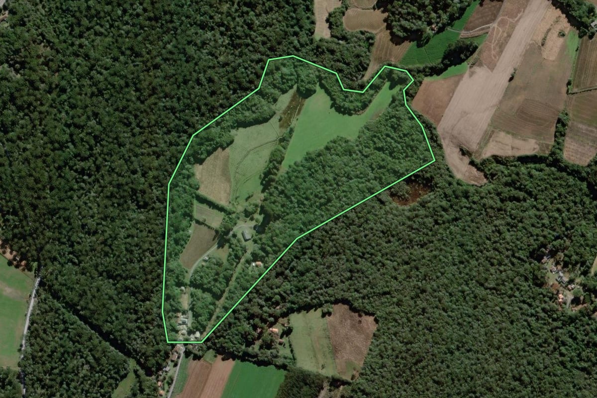 Imagem de satélite do imóvel rural em São João do Triunfo (PR), com o contorno declarado no CAR desenhado por cima.
